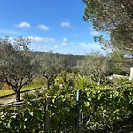 Casa Da Feira - Obidos *
