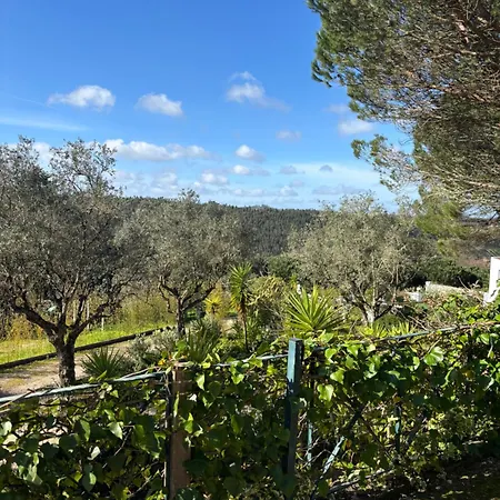 Casa Da Feira - Obidos *