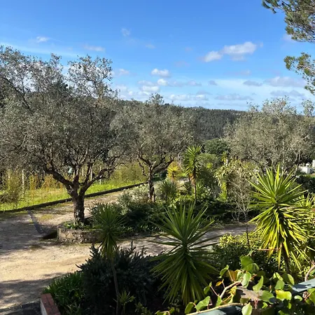 Дом отдыха Casa Da Feira - Obidos
